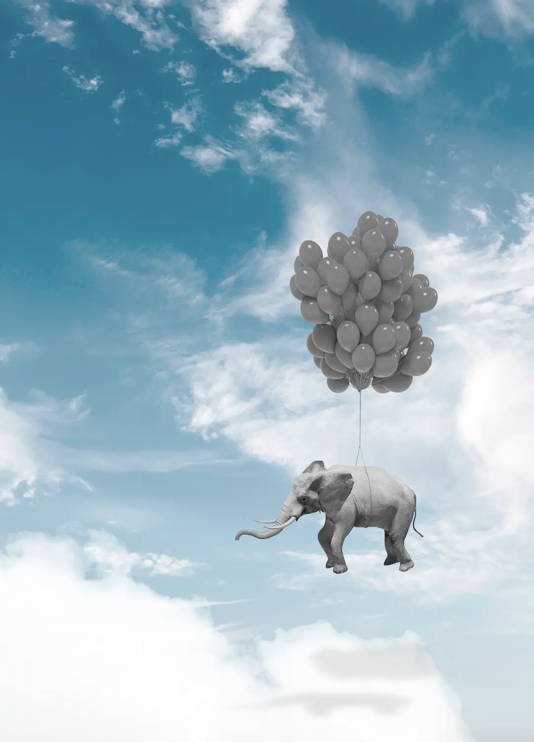 Fliegender Elefant hängt an mehreren Luftballons
